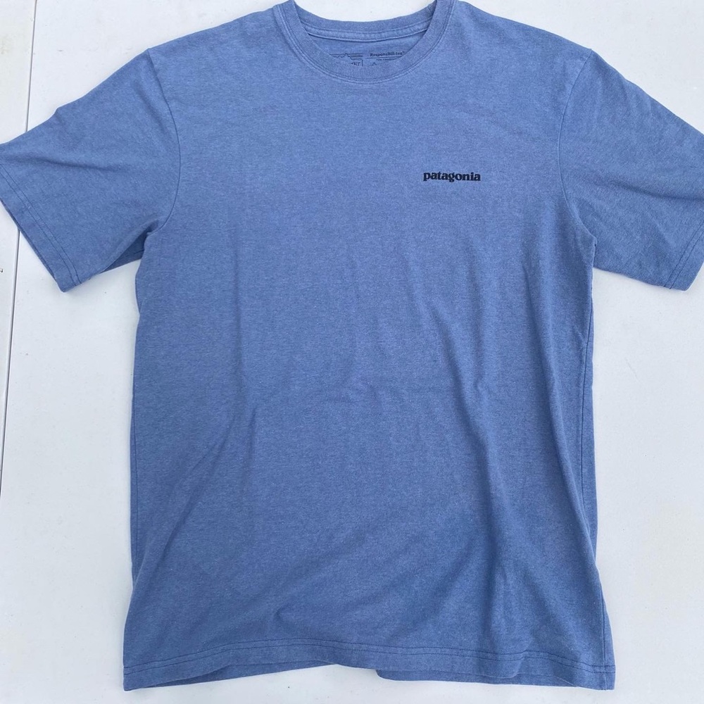 Patagonia T shirt